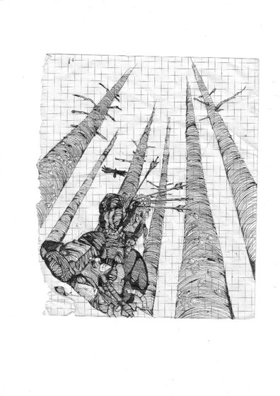 работы: иллюстрации